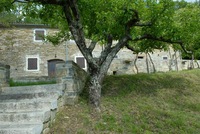 Lipa